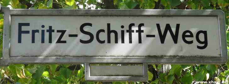 Fritz-Schiff-Weg