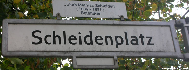 Schleidenplatz