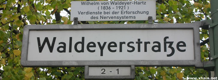 Waldeyerstraße